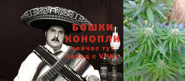 2c-b Лагань