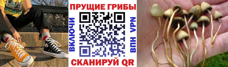 наркотики Красноуральск Галлюциногенные грибы Magic Shrooms